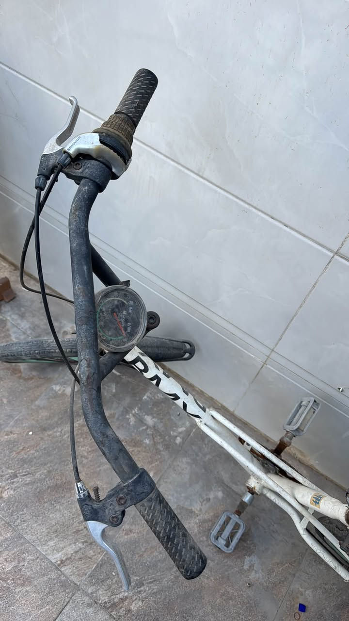 سلام عليكم
بايسكل حجم 20 سرج عالي BMX كير 7 نمر بريك خلفي دسك 
عوزه ترتيب خفيف مكاني بغداد قيم واخذ مستعجل 
***********
