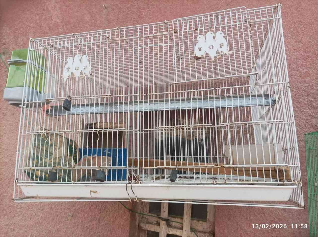 اقفاص للبيع استخدام قليل المكان سوق الشيوخ


**إذا كنت صاحب هذا الإعلان وتريد حذفه لأي سبب، رجاءا أرسل رسالة إلى الدعم الفني**