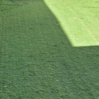 تارتان جديد استخدام فتره بسيطه نوعيه جيده القياس ٦×٣وربع السعر ٧٥ الف ...