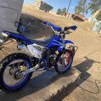 قفاز كاويار • ٢٥٠ • ٢٠٢٥
