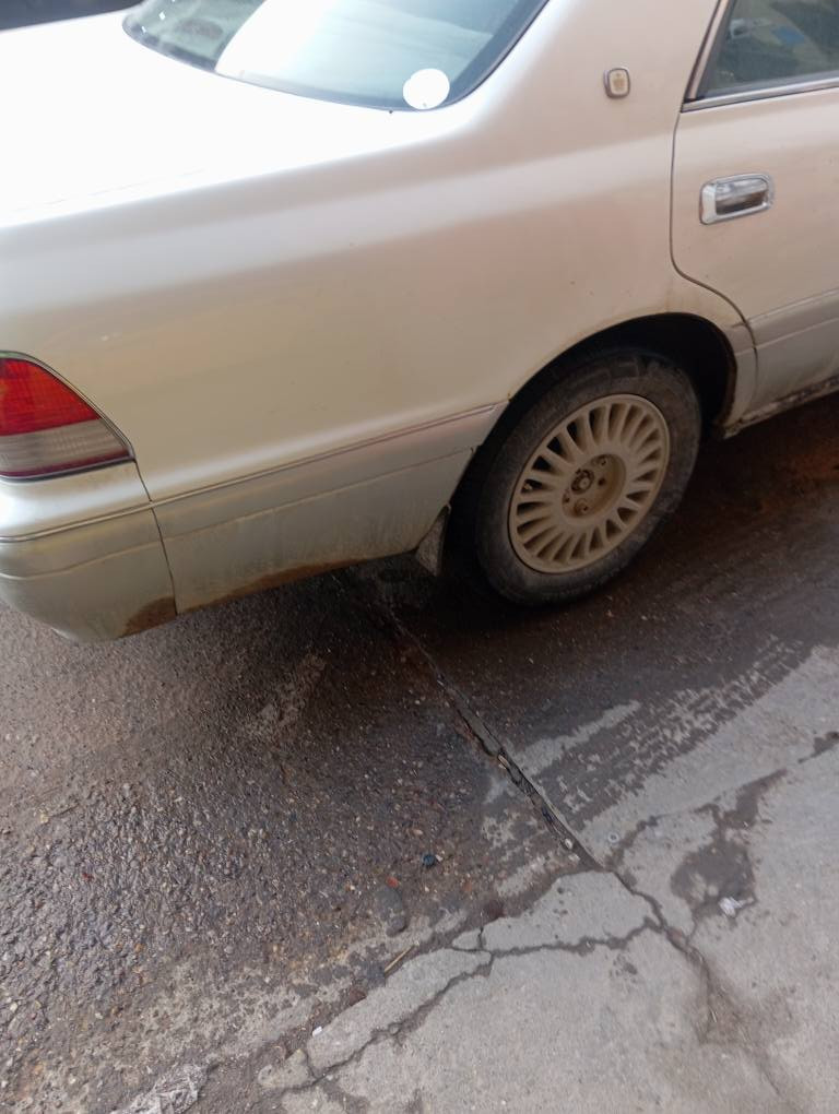 راس ثور فلات مكفوله من الكص والعيب الشرعي
بيه ضربه بلغد اليمنه تبريد كهربائيات كله شغال سعر 80 وبي مجال *********** البصرة, العراق
