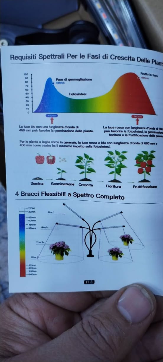 20 الف


**إذا كنت صاحب هذا الإعلان وتريد حذفه لأي سبب، رجاءا أرسل رسالة إلى الدعم الفني**