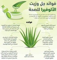 صبار ألوفيرا • تين شوكي هجين • توصيل كربلاء