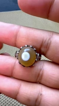 سليماني • هندي • توصيل