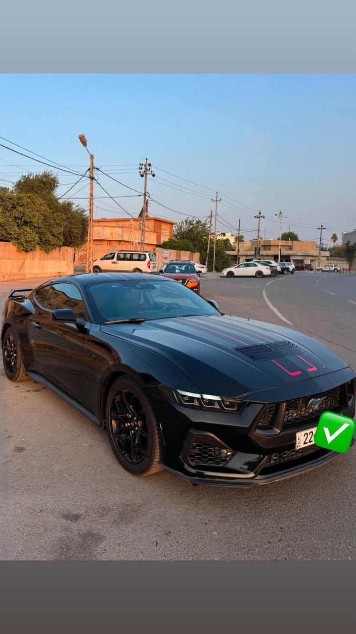 سلام عليكم

جي تي برفورمانس موديل 24 
ضررها جاملغ وبونيت طرف سكن وبيها تعديلين بارد بجاملغ خلفي 
ايرباك بس ستيرن 
بدون شاصي بدون دواخل  شرط الفحص 
 رقم شمالي اربيل / شرط التحويل والغرامات 
سيارة ماشية 25 الف كيلو متر 
مكان السيارة اربيل / كركوك 
مواصفات

هاند بريك يدوي
بريكات فجوج برمبو
ويل اعلى مواصفات
برفورمانس بكج 486 هورس باور 
جناح بلادي
اكتف اكزوز
✅سعر 290 وبي مجال 
*********** كركوك, العراق
