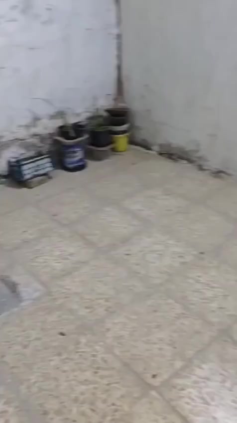 عندي بيت للبيع طابو زراعي مساحة ١٠٠ متر شارع المعمل قريب على صورة الوائلي بالكوفة يحتوي على طارمة ومطبخ وصالة وصحيات وغرفتين كل غرفة بيها منور للبيع مستعجل السعر 25 نجف كوفه***********☎️📞
