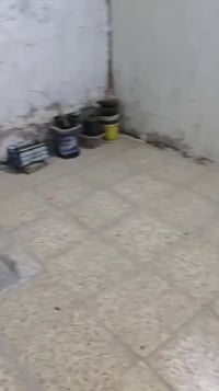 بيت طابو زراعي • ١٠٠م • الكوفة