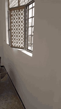 عمل بورك فقط.  شغل كله اكبال اتصال على رقم. *********** اي استفسار. العنوان البراكيه
