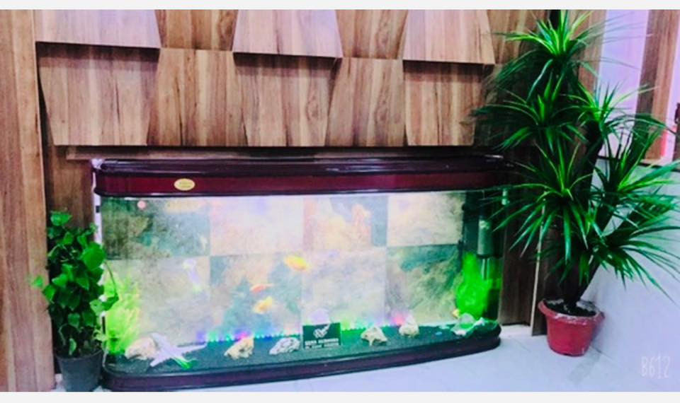 حوض اسماك للبيع 

طول  : 2 متر
عرض : 0.5 متر
ارتفاع : 1 متر

السعر : مليون 

للاستفسار  الاتصال: 
***********
