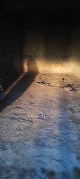 سلام عليكم مخزن لل يجار واجهيه 4 ونزال 10نضيف المكان قضاء الرفاعي عل شارع العام قريب علا محطت سماء الفرات رقم الهاتف لل ستفسار***********
