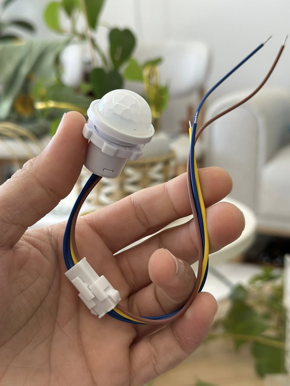 معقول كلهم 18الف مع توصيل ؟


**إذا كنت صاحب هذا الإعلان وتريد حذفه لأي سبب، رجاءا أرسل رسالة إلى الدعم الفني**