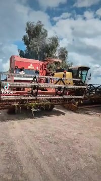 حاصوده فورکسن • موديل ٩١ • نضيف جدا