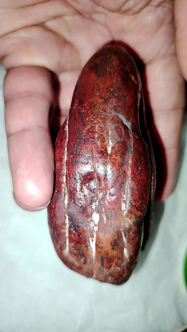حجر دم القندادش خامه ملاگط
السعر خاص توصيل موجود جميع المحافظات العراق


**إذا كنت صاحب هذا الإعلان وتريد حذفه لأي سبب، رجاءا أرسل رسالة إلى الدعم الفني**