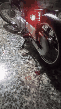 السلام عليكم دراجه للبيع كفاله عامه برغي ما مفتوح بيه السعر ٥٠٠ وبيه مجال ***********
