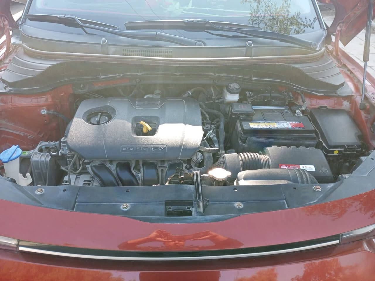 إسلام عليكم صول موديل 2022جاهزه نص فول تحكم استيرن شاشه جبيره مكينه 2000 ليبل 1الفئ s سياره جاهزه حداديه الصدر جديده بأسمي  تحويل ثاني يؤم السعر 143 العنوان بغداد الامين الثانيه الهاتف ***********
