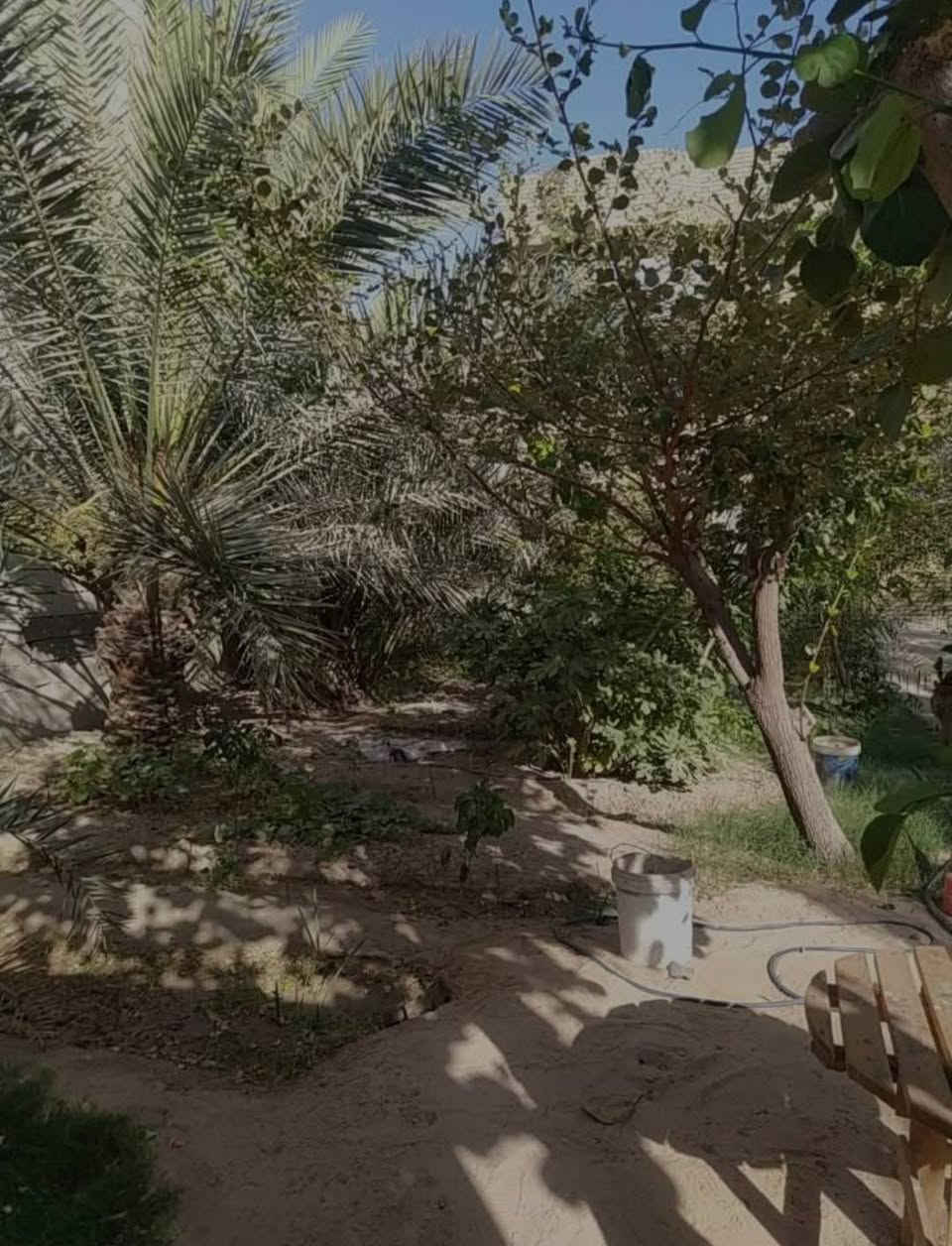 #اسعد_الله_اوقاتكم_بكل_خير⁉️👋

دار سكن للبيع 🧿🧿 

#المساحة::500متر المساحه البناء 200م

#العنوان:: البصرة أبو الخصيب منطقة البهادرية قرب المذخرالدوية 

#جنس_العقار::طابو مالك صرف ينزل المشتري سهم بطابو 

#يحتوي:: البيت على غرفتين٢ منام كبار 
وديوانية 
وصالة ومطبخ 
وصحيات داخلي وخارجي وحديقه وكراج سياره ومحل 

✅ طابق ثاني تلاث غرف منام 
وصالة وصحيات 

بناء طابوق شقل درجة أولى 🔐 
مساحة الكراج 300متر
شارع 10م 

جميع الخدمات متوفرة ماء كهرباء مدارس نت كلشي قريب على 
#السعر((230مليون وبي مجال))
#اللاستفسار:: إلا تصال على الهاتف ☎️📞 
☎️((***********))☎️
            محمد
