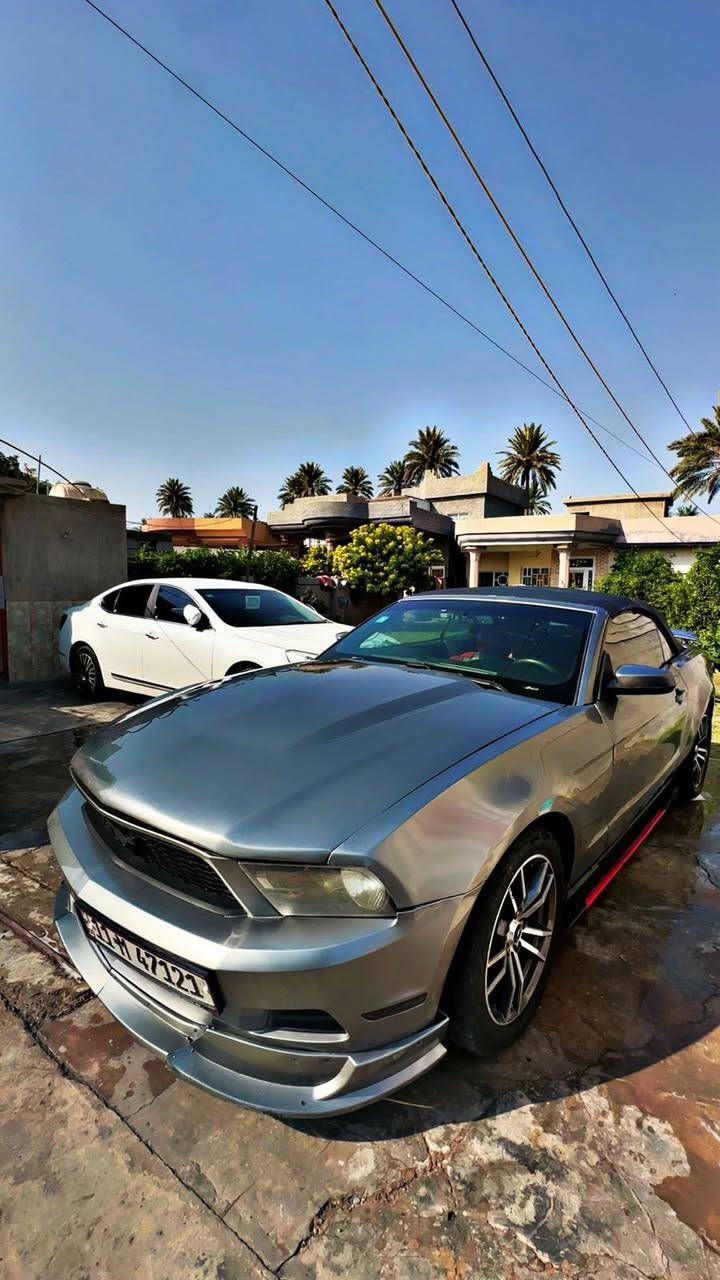 موستنك 2012 6v
السلام عليكم حبايب موستنك 2012 فول برميوم رقم بغداد دولي للبيع او المراوس السعر 85 وبيها مجال


**إذا كنت صاحب هذا الإعلان وتريد حذفه لأي سبب، رجاءا أرسل رسالة إلى الدعم الفني**