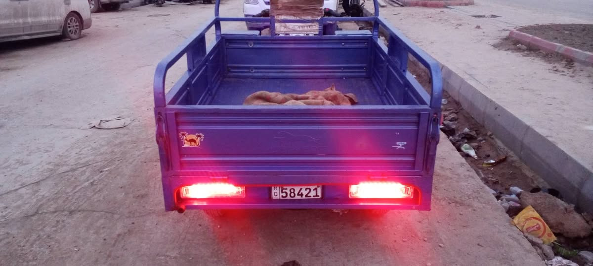 سلام عليكم للبيع ستوته صقر 23
رقم وسنويه سعر 2800 رقمي ***********
