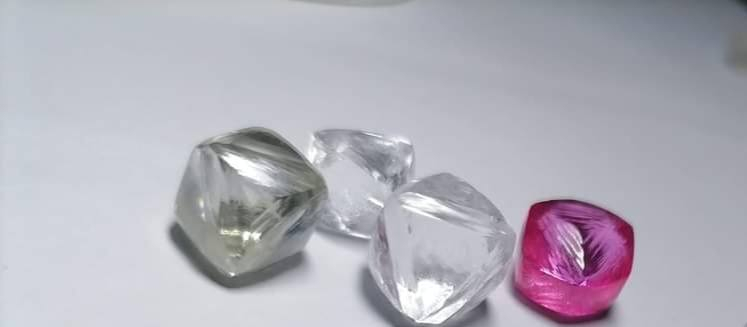 Natural rough diamond
Vvs1
200 usd per ct


**إذا كنت صاحب هذا الإعلان وتريد حذفه لأي سبب، رجاءا أرسل رسالة إلى الدعم الفني**