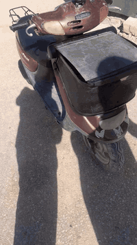 دراجة منغولي • جديدة • النجف خان النص