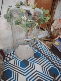 قفص • نضيف • حله