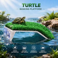 أسماك زينة • سلاحف • طوز خورماتو