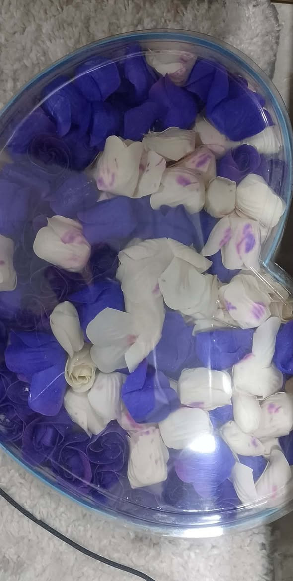 بردة تول الطول ١٨٠ العرض ٤امتار وبسعر 40 ألف 
باقة ورد وبسعر 5 آلاف 
مخاد عدد 6 وبسعر 12 ألف 
العنوان موصل جانب الأيسر حي المزارع 
#الجميع


**إذا كنت صاحب هذا الإعلان وتريد حذفه لأي سبب، رجاءا أرسل رسالة إلى الدعم الفني**