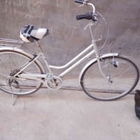 بايسكل اصلي • نظافة ١٠٠٪ • مكاتي بابل