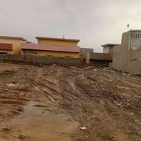 مزارع العدباء • ٢٥٠م • سند طابو