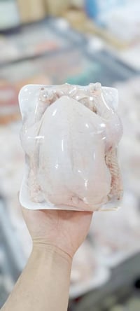 عندك مطعم دجاج وحاير منين الدجاجه الزينه والطعم الطيب  الحل يمي دجاجه ...