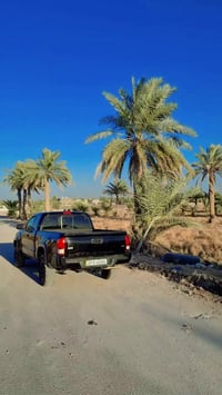 كربلاء • ٨ دونم • طابو سند ٢٥