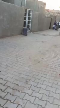 بيت زرعي • حي تركي • ٢٦٠م