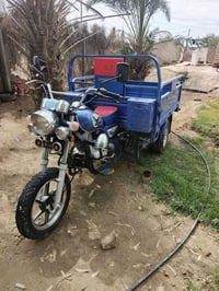 ستوته صقر • ٢٠٢٣ • من الوكيل