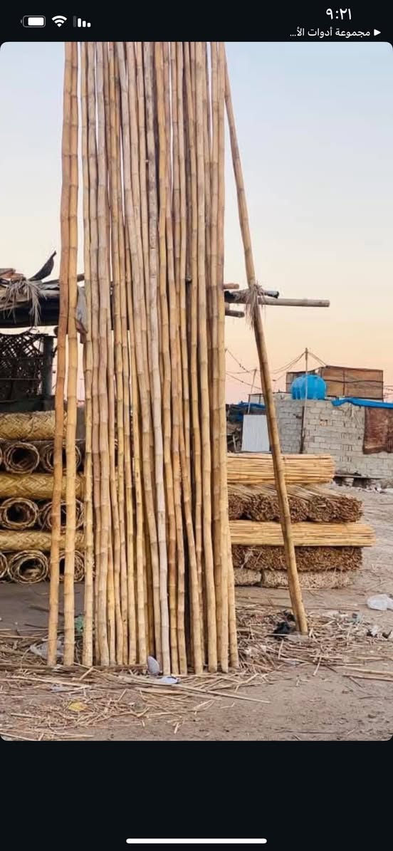 سلام عليكم سياج كعدات سقوف ***********💄 هاشتاقات لكل اسم 

1. AuraBloom
#AuraBloom #GlowWithAura #BloomBeauty #جمال_زهري #تجميل_غامض #العراق #توصيل_العراق

2. VelvetWhisper
#VelvetWhisper #SoftLuxury #WhisperBeauty #مخمل_ساحر #تجميل_راقي #العراق #توصيل_العراق

3. MystiGlow
#MystiGlow #GlowMystic #MysticBeauty #سحر_متلألئ #تجميل_غامض #العراق #توصيل_العراق

4. LumièreSecret
#LumièreSecret #SecretGlow #LightBeauty #أسرار_الضوء #جمال_ساحر #العراق #توصيل_العراق

5. EnchantedBlush
#EnchantedBlush #BlushMagic #SunkissedGlow #احمرار_ساحر #تجميل_مميز #العراق #توصيل_العراق

6. CrystalCharm
#CrystalCharm #ShinyBeauty #CharmYourself #سحر_الكريستال #تجميل_فاخر #العراق #توصيل_العراق

7. MoonPetal
#MoonPetal #MoonGlow #PetalBeauty #جمال_القمر #تجميل_ناعم #العراق #توصيل_العراق

8. FrostedRose
#FrostedRose #FrozenBeauty #RoseGlow #وردة_متجمدة #تجميل_مميز #العراق #توصيل_العراق

9. GlimmerMist
#GlimmerMist #ShimmerBeauty #MistGlow #ضباب_متلألئ #تجميل_ساحر #العراق #توصيل_العراق

10. OpalVibe
#OpalVibe #OpalGlow #VibeBeauty #ذبذبات_الأوبال #تجميل_راقي #العراق #توصيل_العراق
