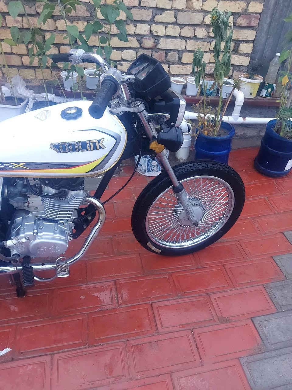 تايكر 23 اوراق دراجه نظيفه عوزه شويه ترتيب مكان طويريج سعر 550


**إذا كنت صاحب هذا الإعلان وتريد حذفه لأي سبب، رجاءا أرسل رسالة إلى الدعم الفني**