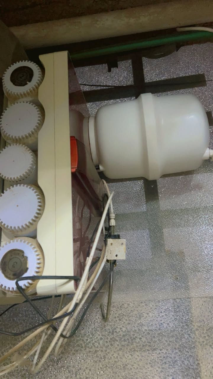 مبرده كونفيره نظيفه مابيها ضرر 
منظومه تصفيه المي (فلتر) ابو الشاشه نظيف مابي ضرر 
مكاني حي الجهاد.


**إذا كنت صاحب هذا الإعلان وتريد حذفه لأي سبب، رجاءا أرسل رسالة إلى الدعم الفني**