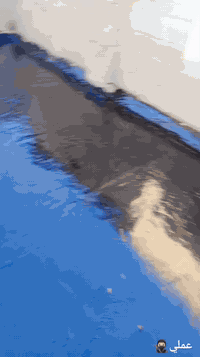 جير سطوح • مانع الرطوبة • مع ضمان