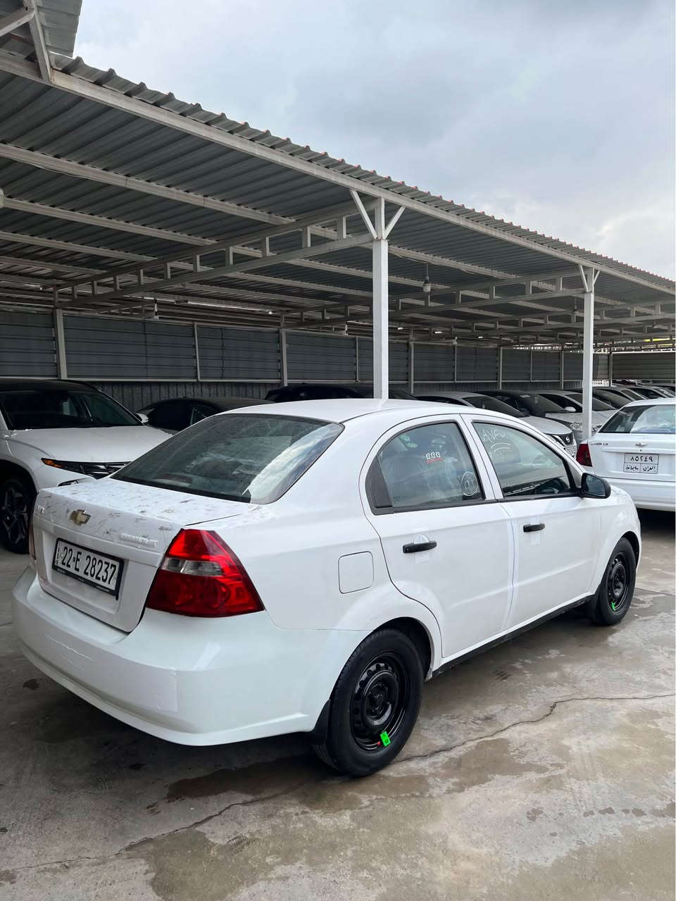 سلام علیکم افیو 2009 مکینە گەورە..0517616384
حزام بی داخل جمپی خفیفی پشتی هەیە بیداخل
رقم سنوی هەزە نویە بەناوی خۆمانە 
تەخم تایە نویە تەقەو ڕەقە بەشەرت 
مکینە گیر بەشەرت 
سعر 49 وەرقە و مجالی برایانە 
شوێن قەزای خەبات✅
ژ.م.*********** أربيل, العراق
