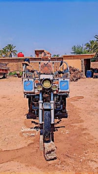 ستوته • فحل عالي • ٢٠٢١