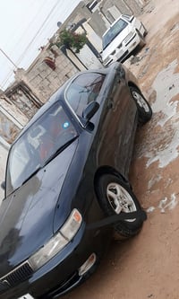 شيزرمديل 94كفاله من كصه وظربه لون زيتوني مصبوغه عام جماليه رقم نجف انك...