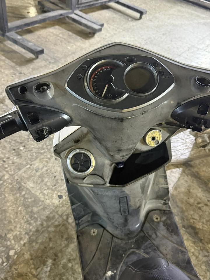 فحل للبيع شغاله بس تاخر شىيه ويرادلهه تبديل كامشفت سعرهه 450  مكاني بغداد / سبع ابكار ***********
