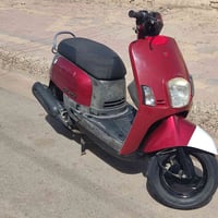 بوليس • نظيف • علي شرجي