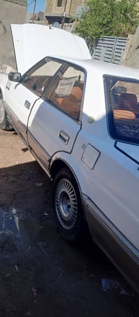 هارتوب • ١٩٩١ • التاجي