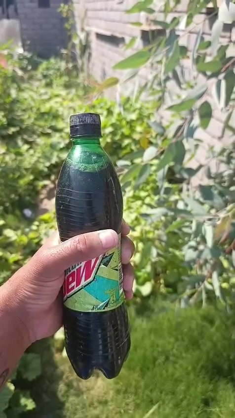 الله شاهد جرب وراح تستفاد هوايه لزرعك منه لنخيل لجميع الشتلات أصحاب المزارع يوجد دبات بسعر مناسب جدا يوجد توصيل مجاني فقط بني منصور الهوير المدينه الخاص باهله رقم الوساب+964 774 868 3014


**إذا كنت صاحب هذا الإعلان وتريد حذفه لأي سبب، رجاءا أرسل رسالة إلى الدعم الفني**