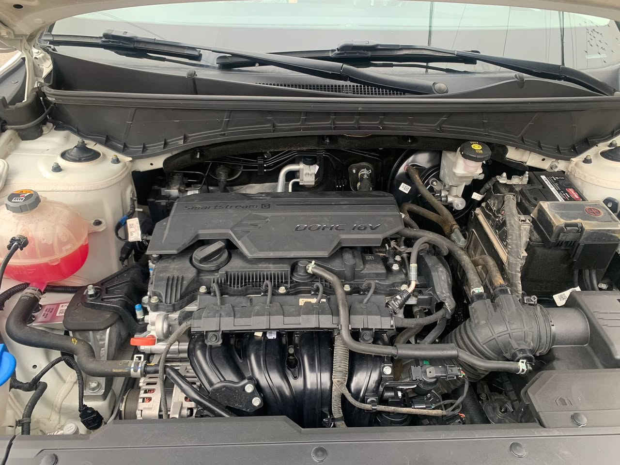 سلام عليكم
توسان 2023خليجي 

رقم أربيل  الضرر موضح بصورة طخة بسيطة 

مكاني بغداد الكمالية 

السعر 210$ وبيها مجال 

التواصل ***********
