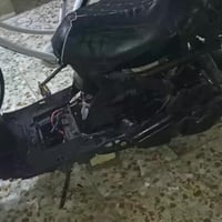 فراشة حربي • شرط شلعة • معدل