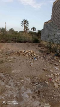 بسديناويه • قطعة زراعي • ١٠٠م
