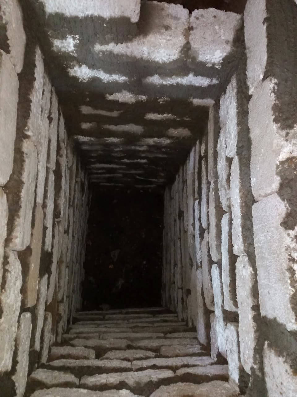 السلام عليكم يوجد كادر عمل تعديل بيوت فرش حجر تصعيد رمل واسمنت سيراميك تعديل حدائق تعديل تكعيبات لبخ تكعيبات تكسير صبه تعديل بيوت حفر ابيار دائريه وبناء تعديل تكعيبات تقشيط حائط اسمنت وجص درز مال بيوت تنظيف بيوت من الحشيش ****************************
