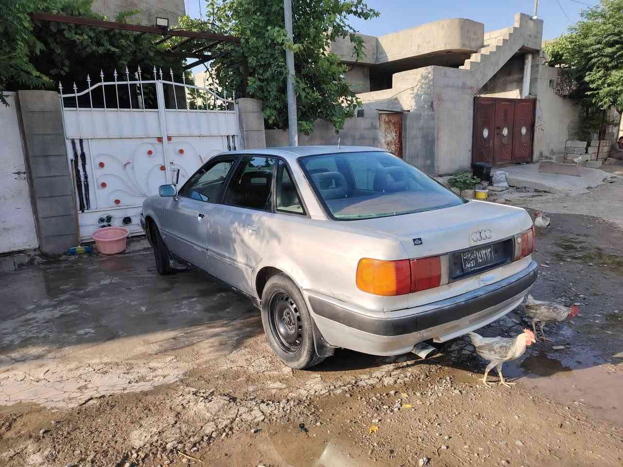 بۆ فرۆشتن 1992ئارم ئاسایش گیرو مەکینەو تەقەو ڕەقە ی بەشەرت لاتو فلچەو شتی مەزبوتە لەچوارقوڕنەیە سەعری 12 گەڵاو مەجال 
***********
