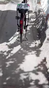 باسكل • ماروني • حجم ٢٦